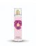 Vince Camuto Ciao Vince Camuto Body Mist 8 Oz. Clear ID-SHRG7962