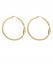 Vince Camuto Twisted Hoop Earrings Gold Metallic ID-OZNW4420