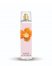 Vince Camuto Bella Vince Camuto Body Mist 8 Oz. Clear ID-ZOLY8051