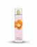 Vince Camuto Bella Vince Camuto Body Mist 8 Oz. Clear ID-ZOLY8051